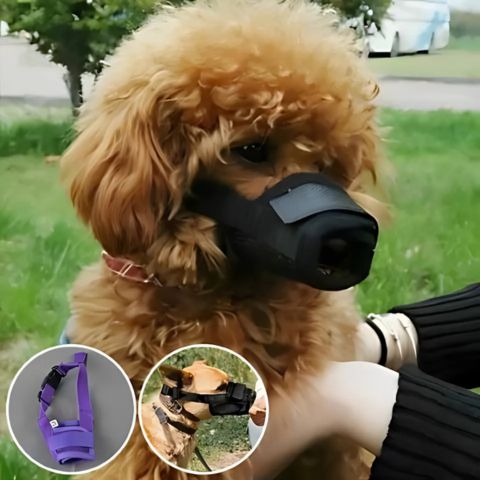 Muselière Chien / Jackson - Mon chien Charlie
