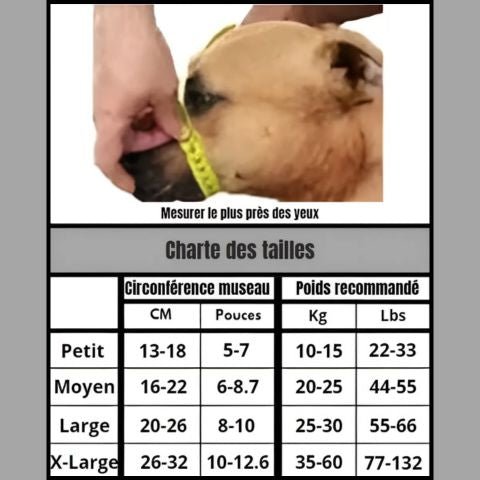 Muselière Chien / Jackson - Mon chien Charlie