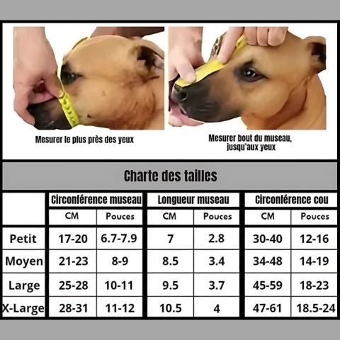 Muselière Chien / Madox - Mon chien Charlie