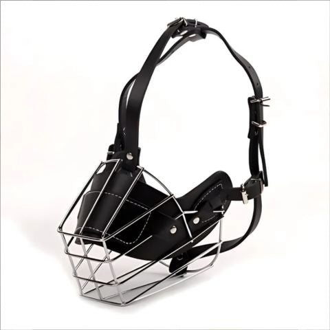 Muselière Chien - Maxy variante noir