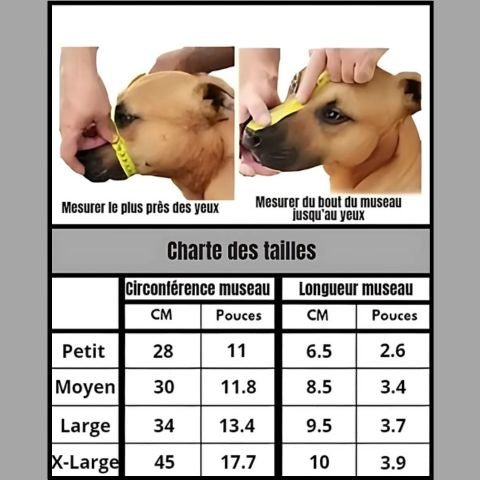 Muselière Chien / Maxy - Mon chien Charlie