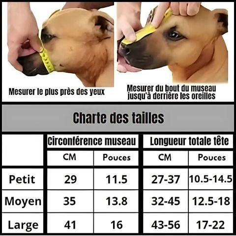 Muselière Chien / Médor - Mon chien Charlie