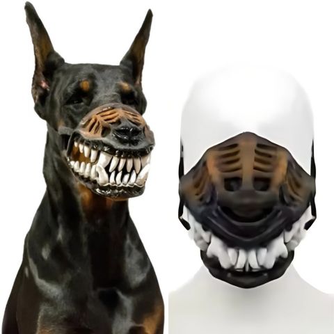 Muselière Chien / Médor - Mon Chien Charlie
