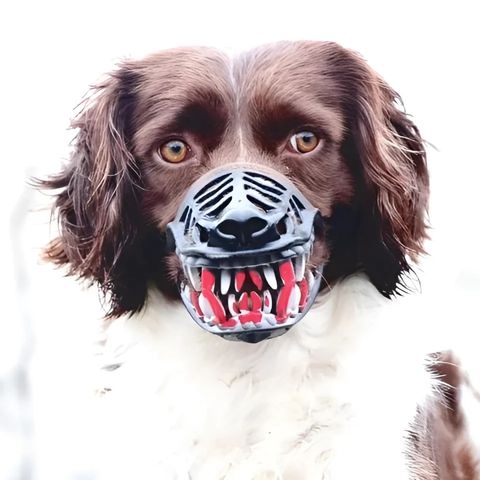Muselière Chien / Médor - Mon chien Charlie