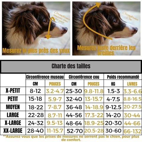 Mâchoire et museau d’un chien avec une muselière adaptée, deux images montrant le montage et les mesures. Texte superposé: « Mesurez le plus près des yeux » et « Mesurez l’intérieur derrière les oreilles ». Style et tableau des tailles affichés. Muselière pour chien / Pacane.