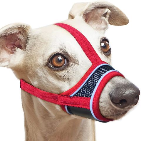 Muselière Chien - Pacane variante rouge