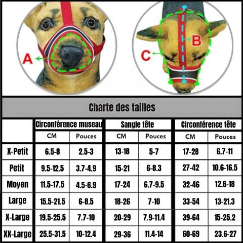 Muselière Chien - Pacane charte des tailles
