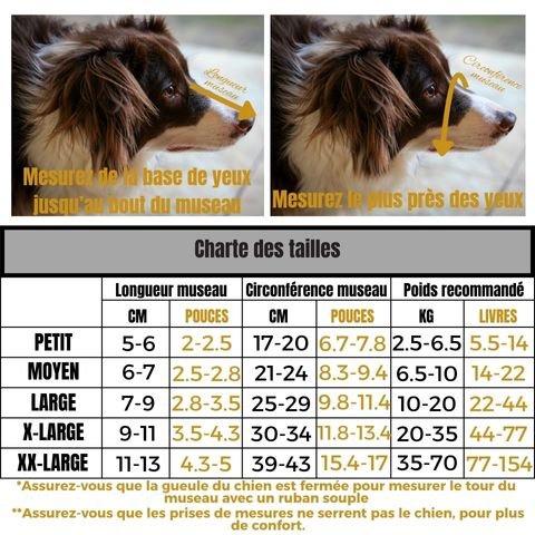 Muselière Chien / Shrek - Mon Chien Charlie