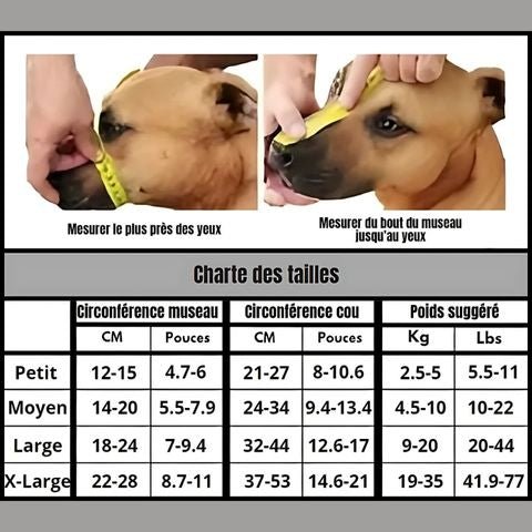 Muselière Chien / Tigars - Mon chien Charlie