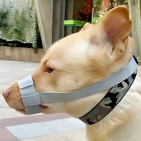 Muselière Chien / Tigars - Mon chien Charlie