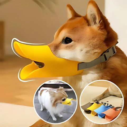 Muselière Chien / Tinour - Forme de canard