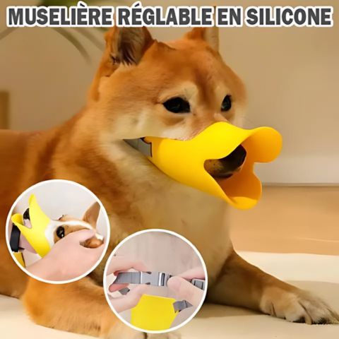Muselière Chien / Tinour - Mon Chien Charlie