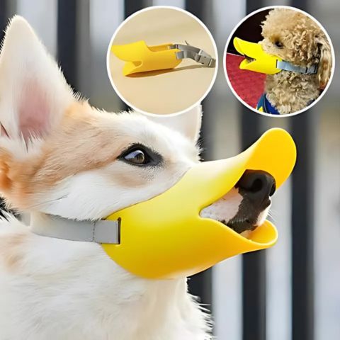 Muselière Chien / Tinour - sur Corgi