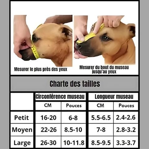 Muselière Chien / Troylie - Mon chien Charlie