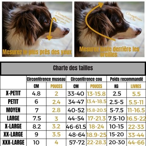 Muselière Chien / Westcott - Mon Chien Charlie