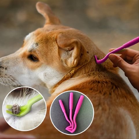 Pince Anti Tique Chien / Zara - Mon chien Charlie