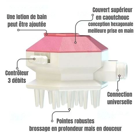 Toilettage Chien / La Douchette Boss - Mon Chien Charlie