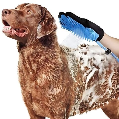 Toilettage Chien / La Douchette Zara - Mon Chien Charlie