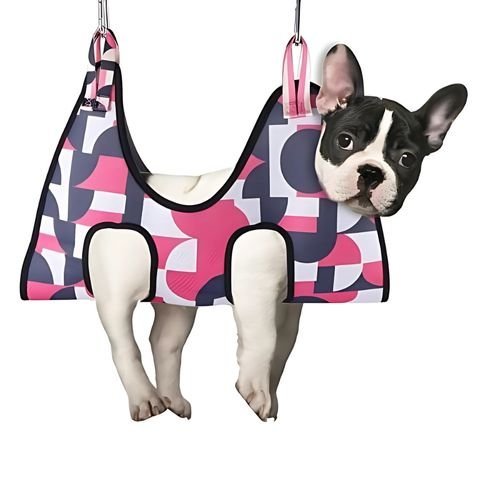 Toilettage Chien / Le Hamac Madox - Mon Chien Charlie