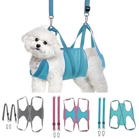 Toilettage Chien / Le Hamac Maxy - Mon Chien Charlie