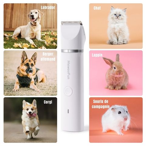 Tondeuse Chien / Mirko - Mon Chien Charlie