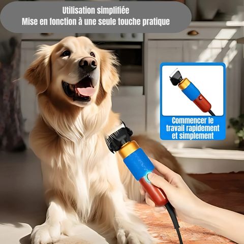 Tondeuse Chien / Poppy - Mon chien Charlie