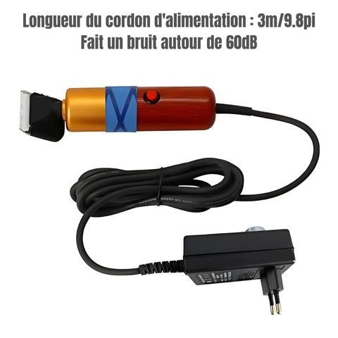 Tondeuse Chien / Poppy - Mon Chien Charlie