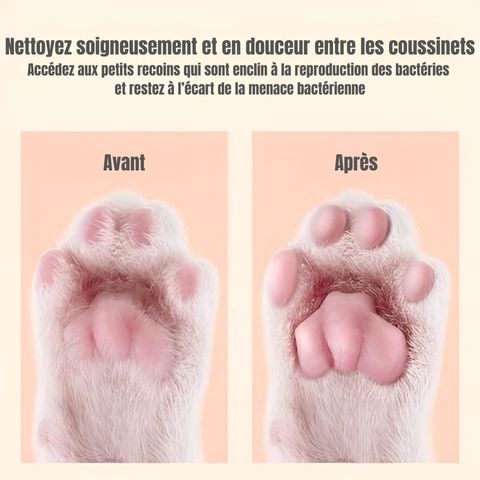 Tondeuse Chien / Tigars sur pattes