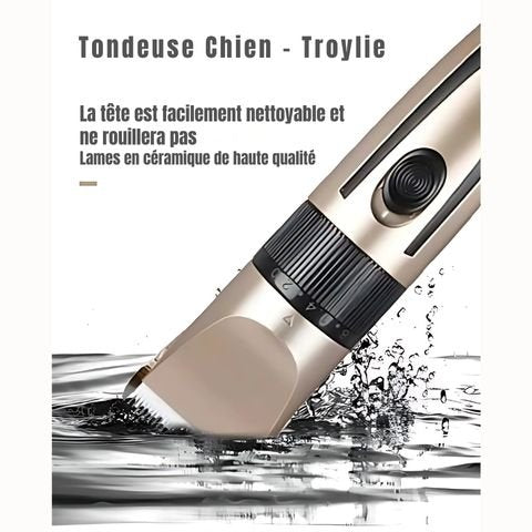Tondeuse Chien / Troylie - Mon Chien Charlie