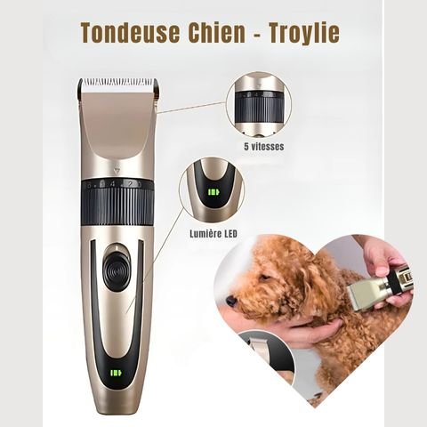 Tondeuse Chien / Troylie - Mon Chien Charlie