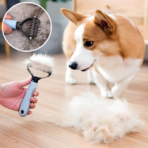 Coupe Nœud Chien - Mon Chien Charlie