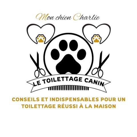 Le toilettage chien à domicile : Guide pour bien débuter - Mon chien Charlie