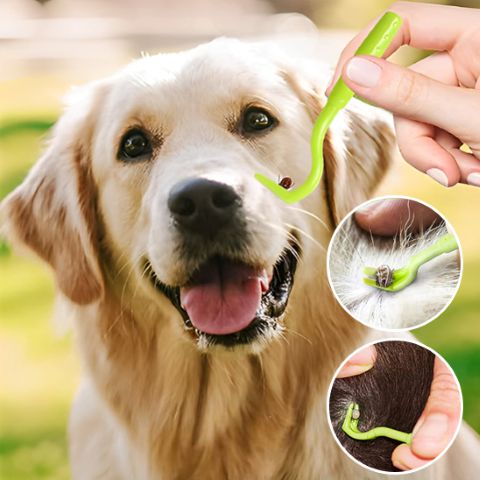 Pince À Tique - Protéger Son Chien Des Parasites - Mon Chien Charlie