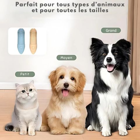 Brosse A Dent Chien - Loulou compatibilité