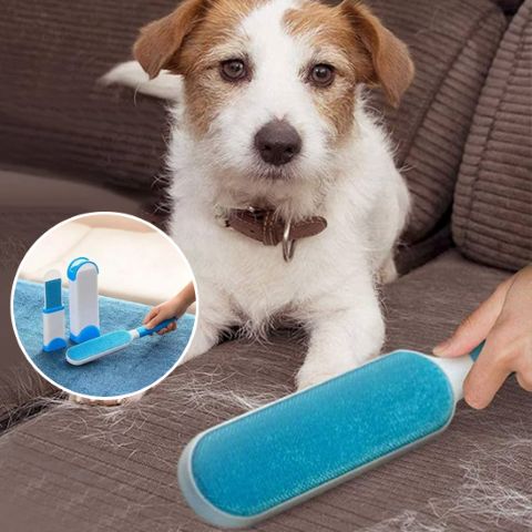 Brosse Anti Poil - Charlie bleu sur sofa brun