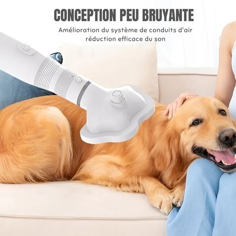 Brosse Chien - Séchoir Troylie avec Labrador