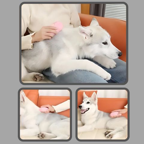 Brosse Chien - Vapeur Keira sur Husky