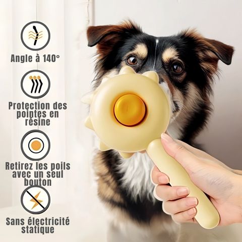 Brosse Pour Chien - Mirko caractéristiques 