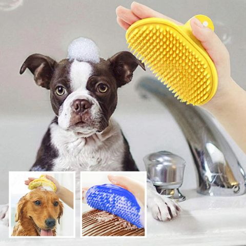 Brosse Chien / Zara