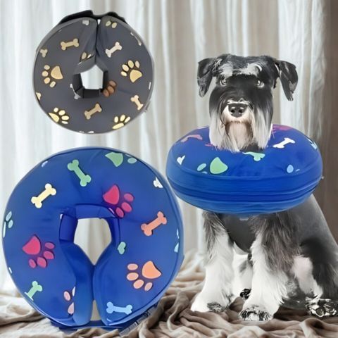 Collerette Chien / Poppy - lavable