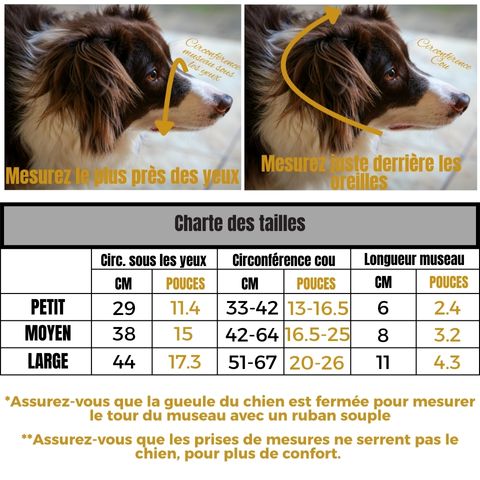 Muselière Chien / Fidgy