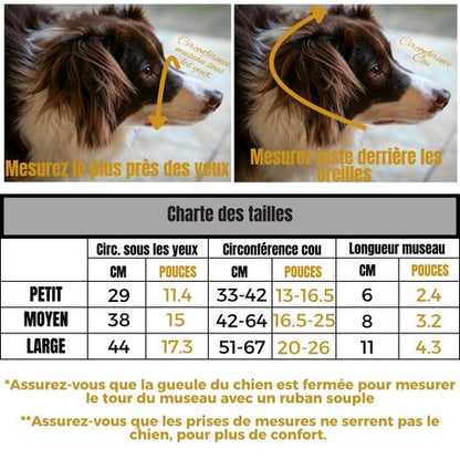 Muselière Chien / Fidgy