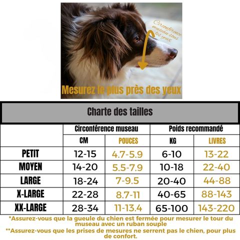 Muselière Chien / Jackson charte tailles