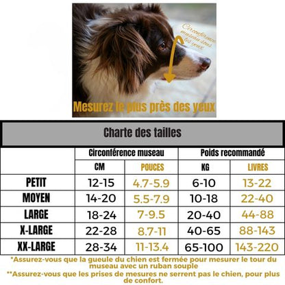 Muselière Chien / Jackson charte tailles