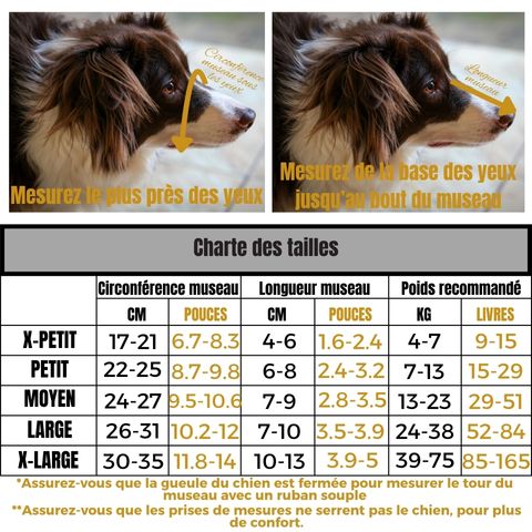 Muselière Chien - Troylie charte taille