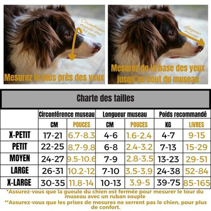 Muselière Chien - Troylie charte taille