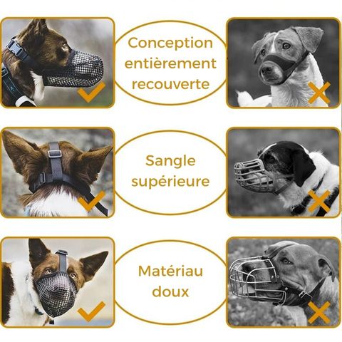 Muselière Chien - Troylie différences