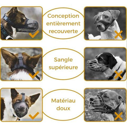 Muselière Chien - Troylie différences