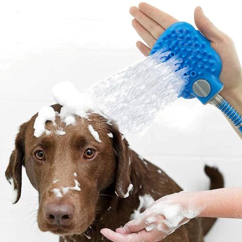 Toilettage Chien - La Douchette Keira sur Labrador brun
