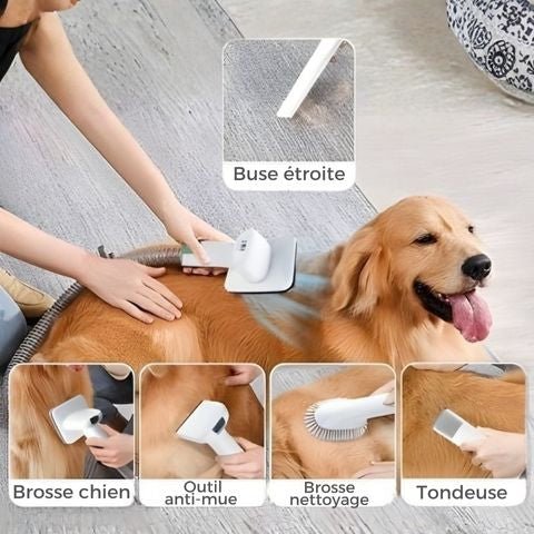 Aspirateur Poil De Chien / Ivy - tout-en-1